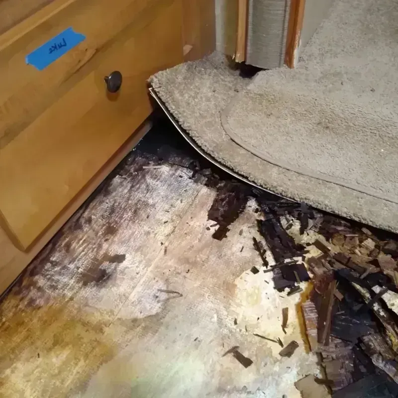 Wood Floor Water Damage in Kendall, FL